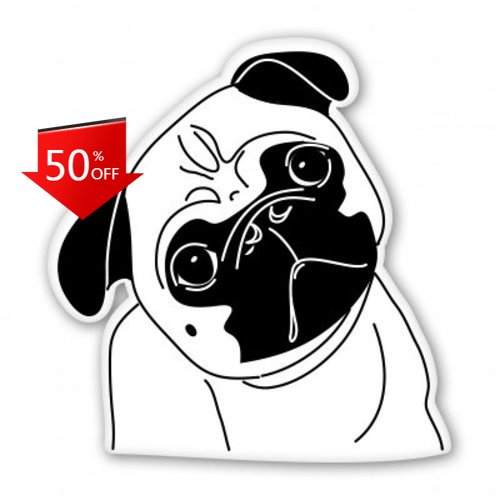 Pug Face Unique Motor Home Boa - Laptop Unique Accessories บทวิจารณ์และราคา